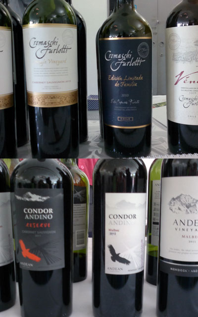 Chilean and Argentinian Wines
